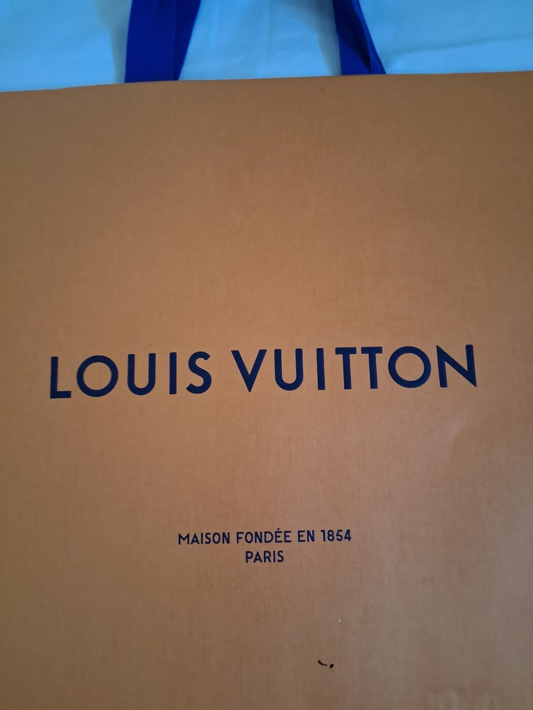 Louis Vuitton Large Shopping Bag - photo 2