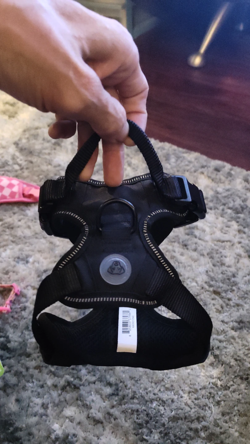 Black Dog Harness - photo 2