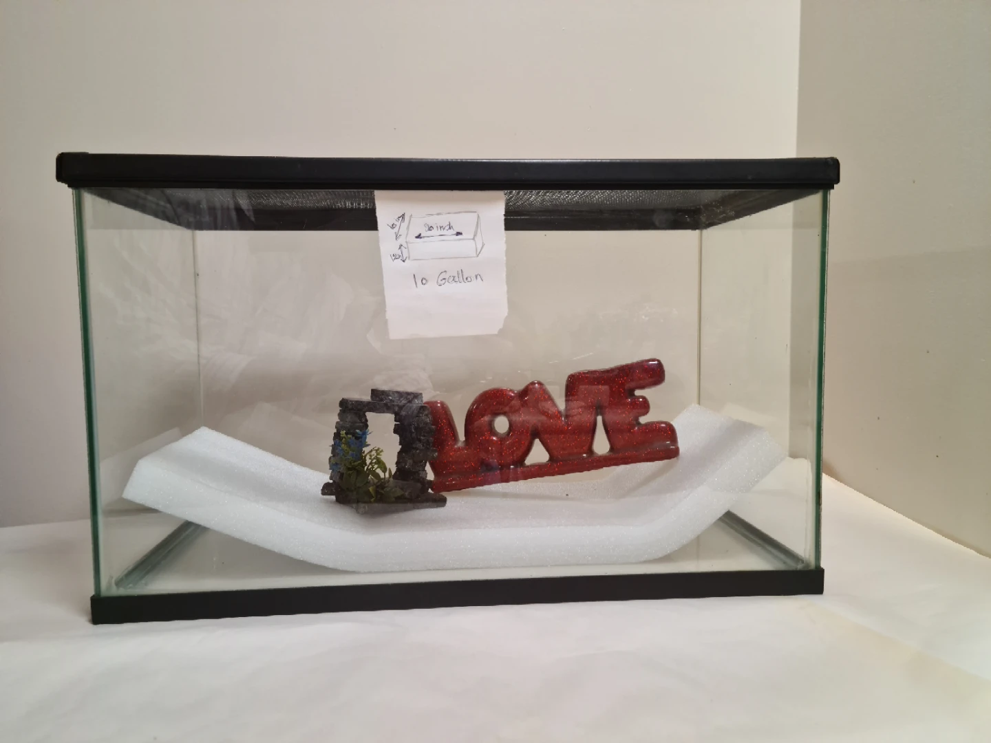 10 Gallon Aquarium with Decor