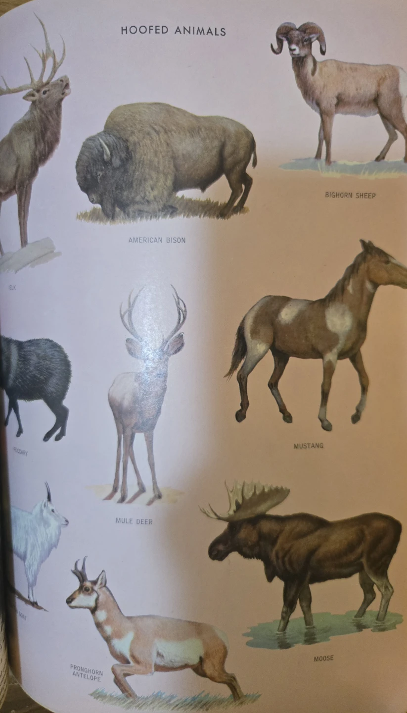 Webster's Unabridged-Encyclopedic Dictionary - photo 4