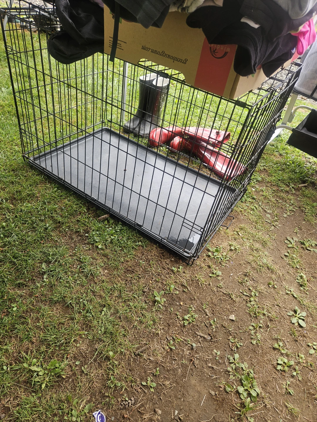 Wire Pet Crate with Tray
