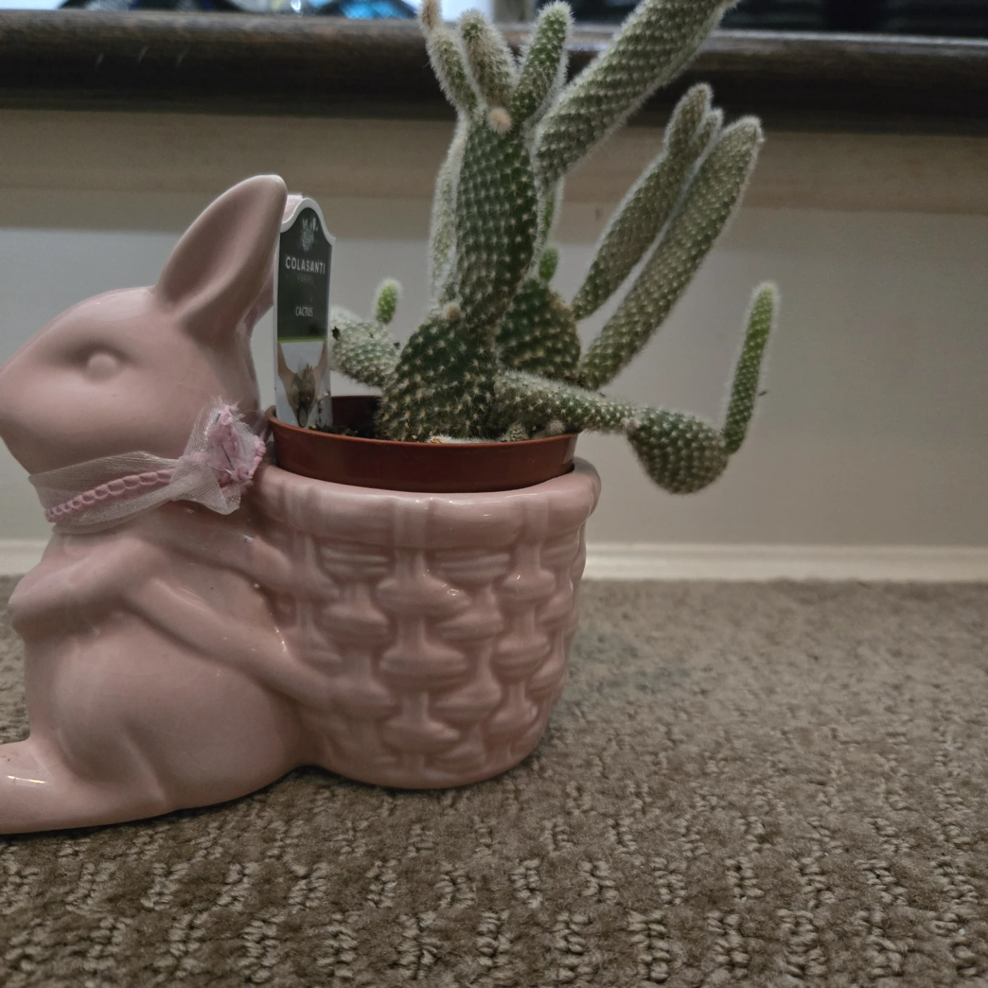 Small Pink Bunny Planter with Bunny Cactus