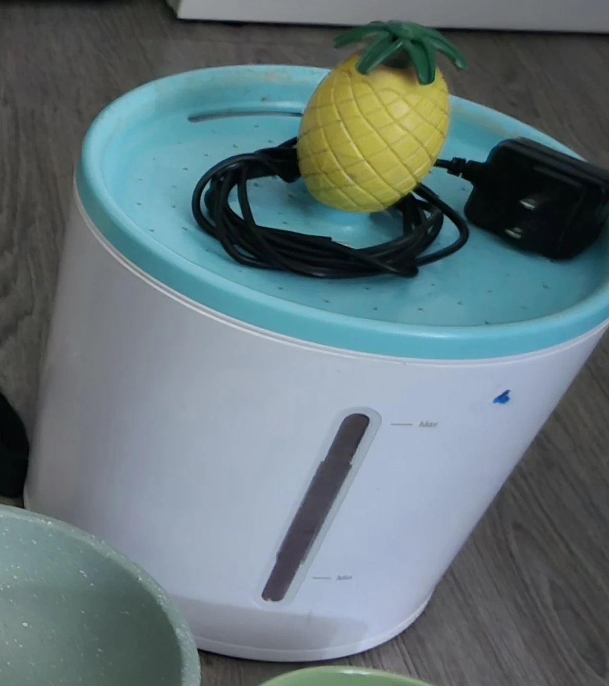Pet Water Fountain with Pineapple Top