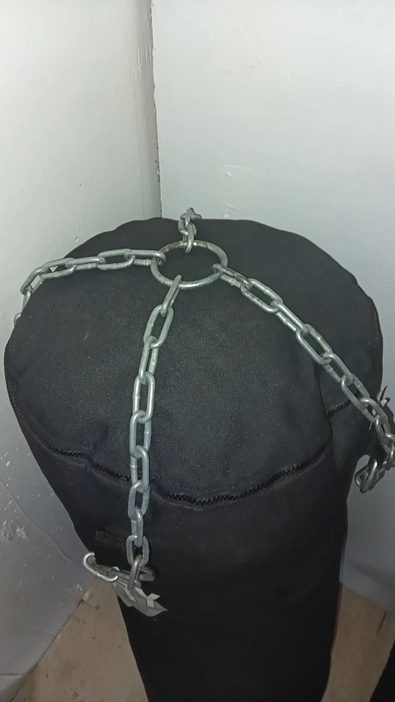 Century Punching Bag with Chains
