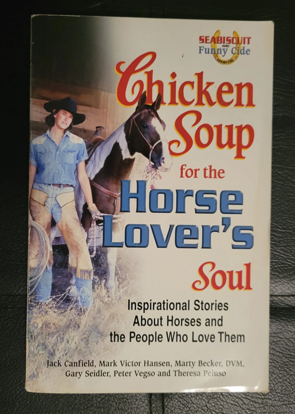 Chicken Soup for the Horse Lover's Soul Book