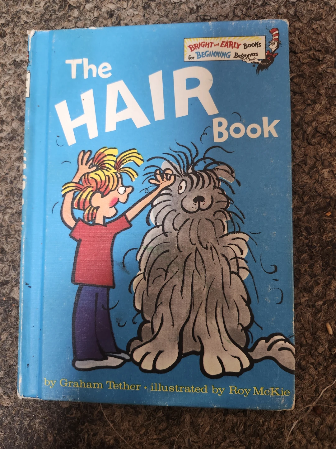Collection of Beginner Books for Young Readers - photo 5