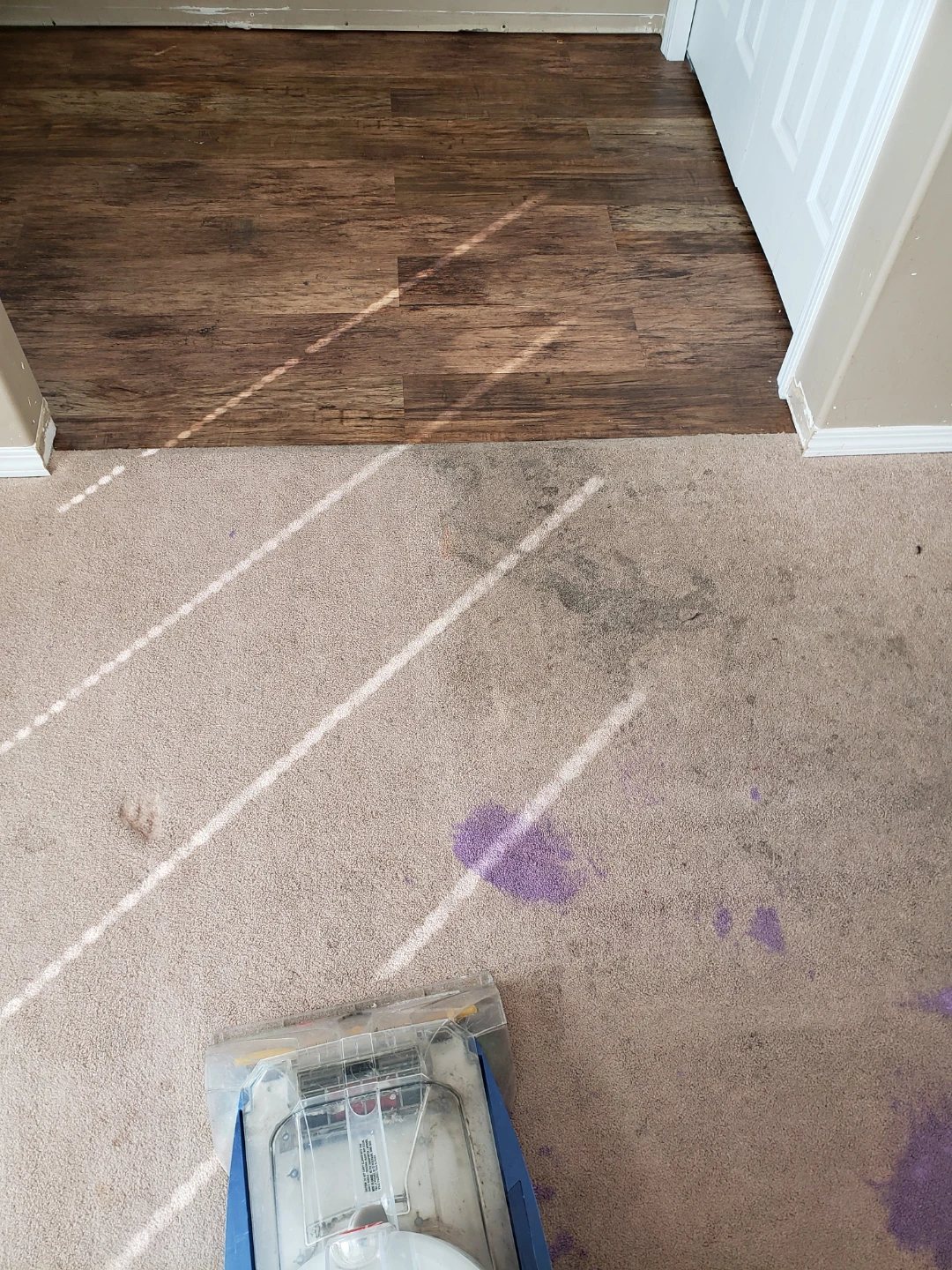Carpet Cleaning