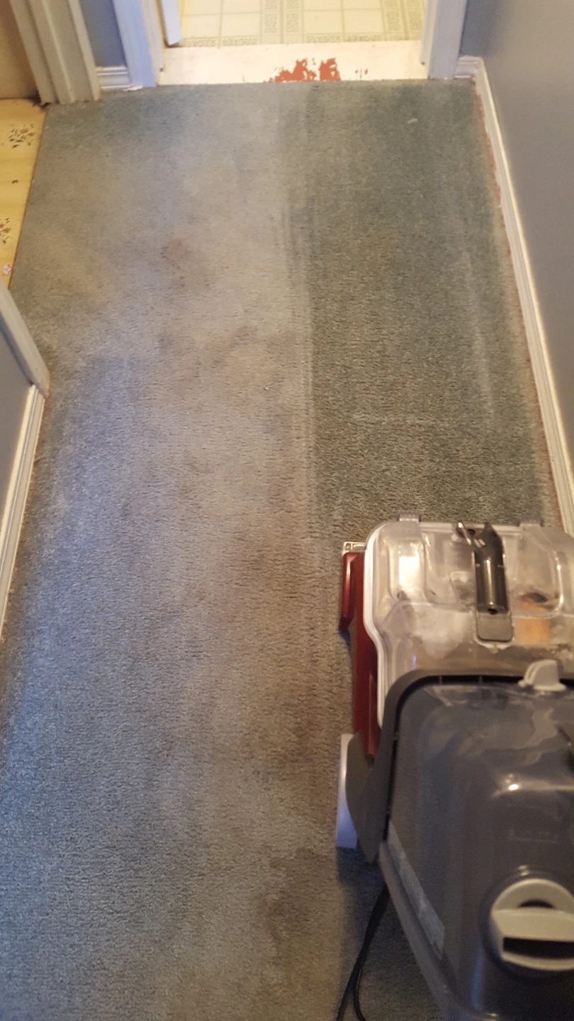 Carpet Cleaning - photo 3