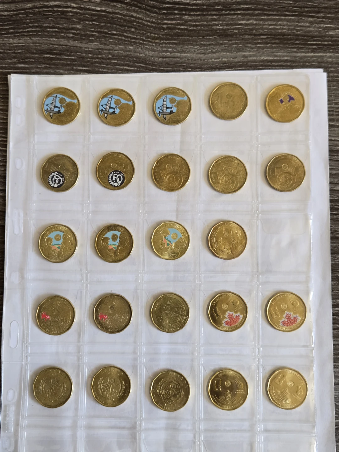 Collection of Canadian Loonie Coins