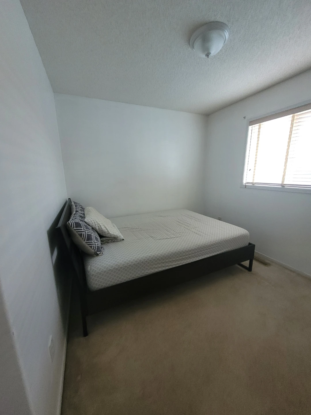 House for Rent - photo 5