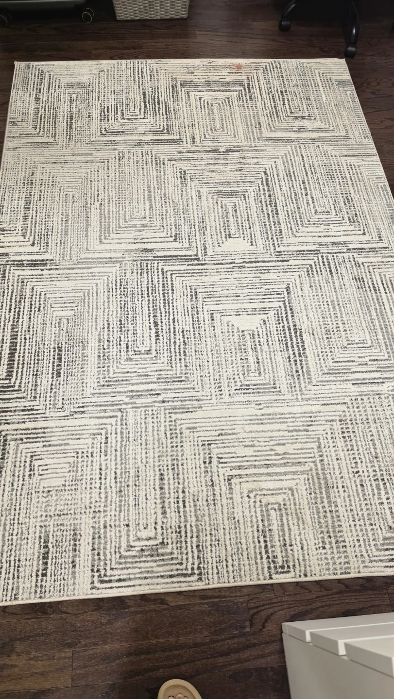 Area Rug with Geometric Pattern - photo 3