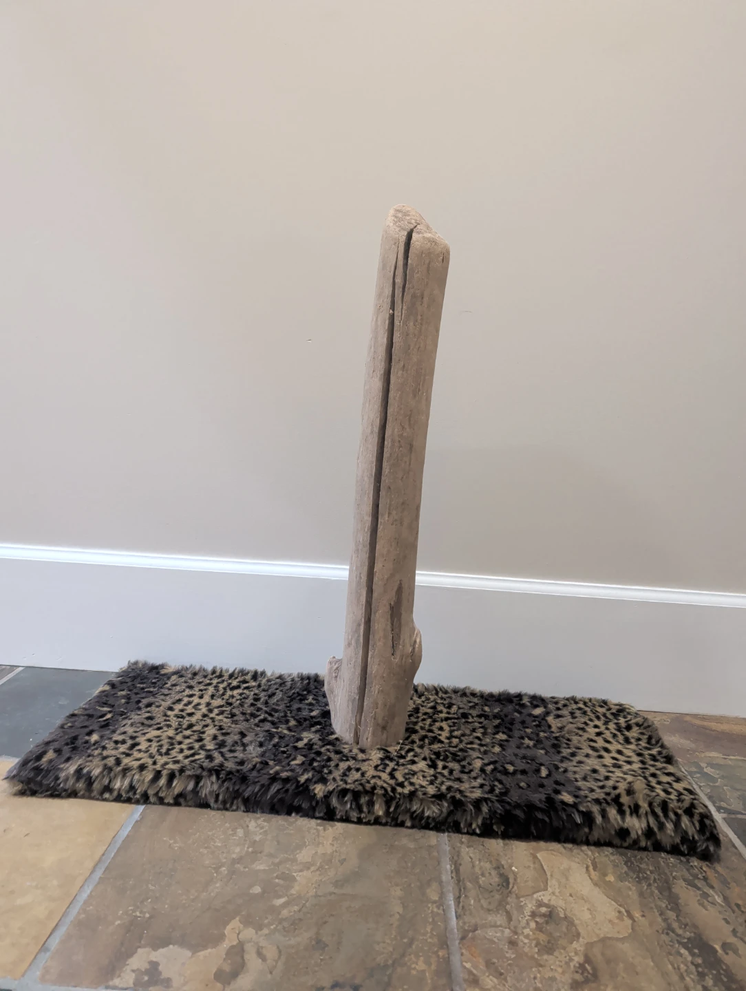 Driftwood Cat  Post