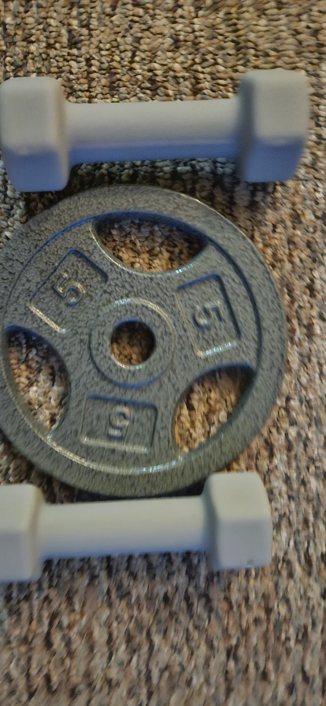 Pick up today Dumbbells and 5lb Weight Plate