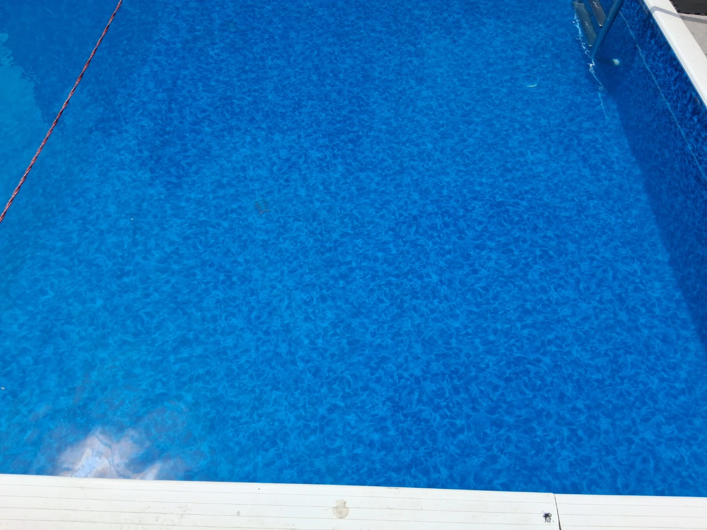 I am offering pool cleaning/ green pool fix