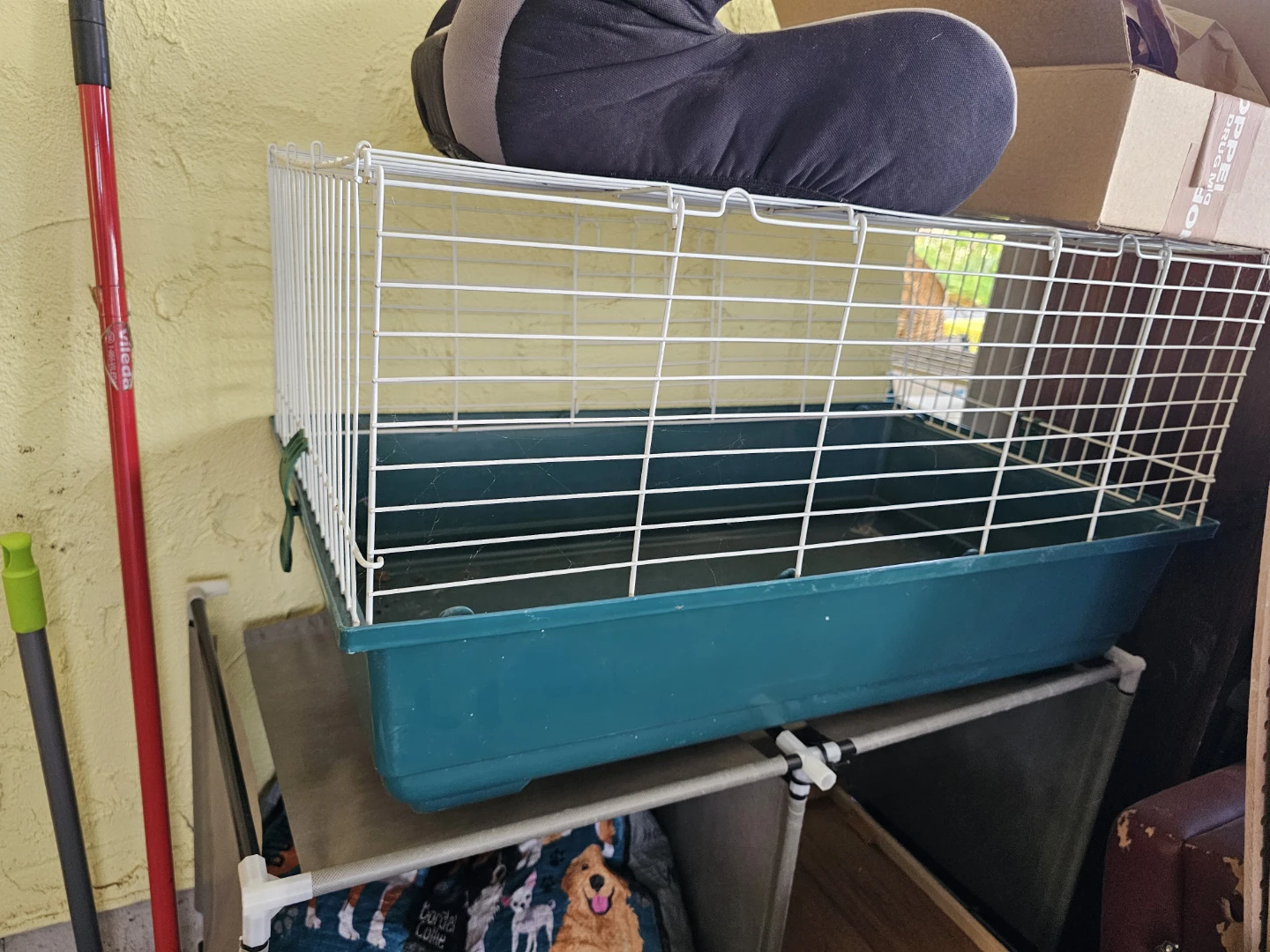 Guinea pig cage
