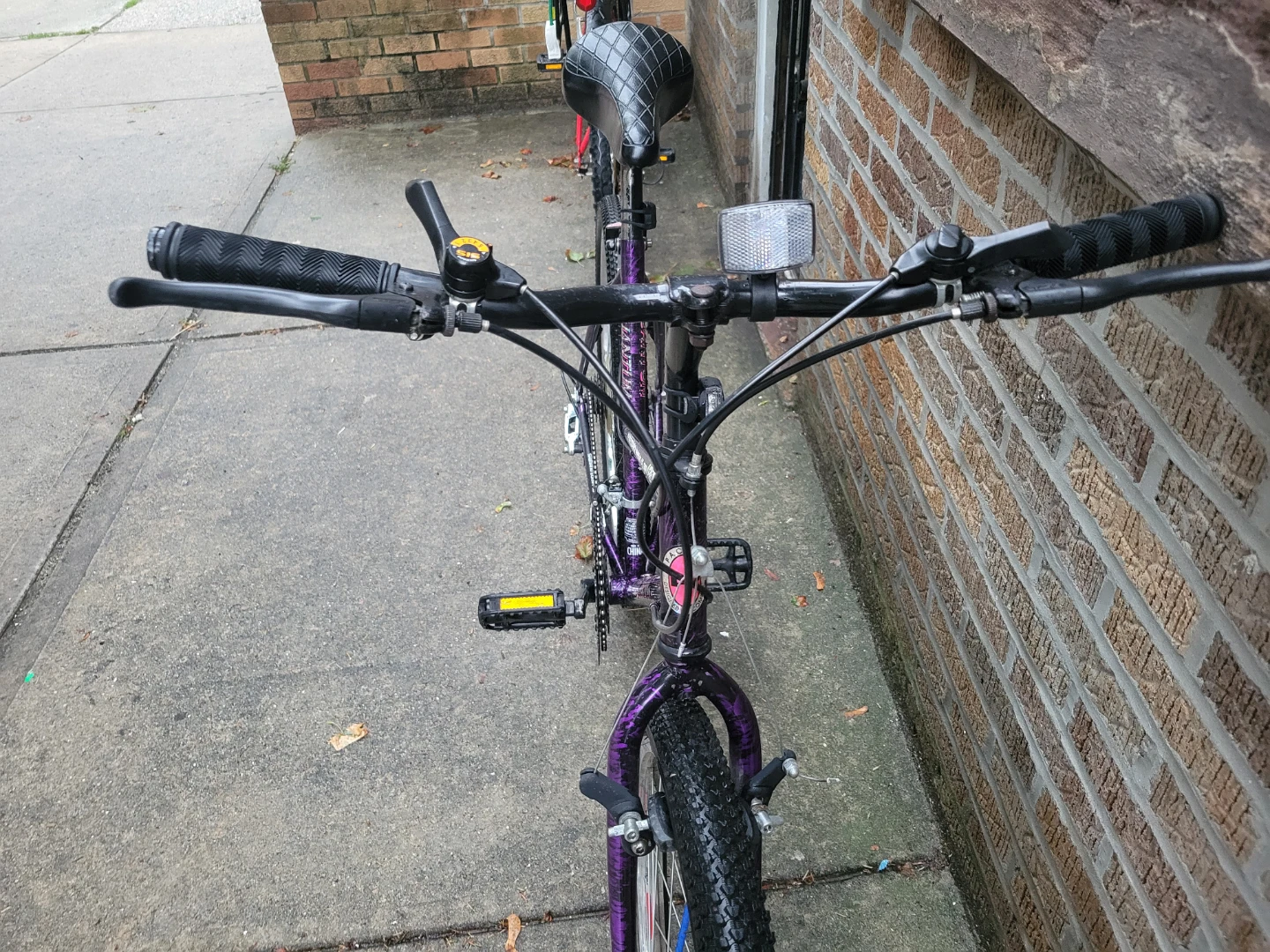 Pacific Quantum Precision Drive Women's Mountain Bike - photo 3