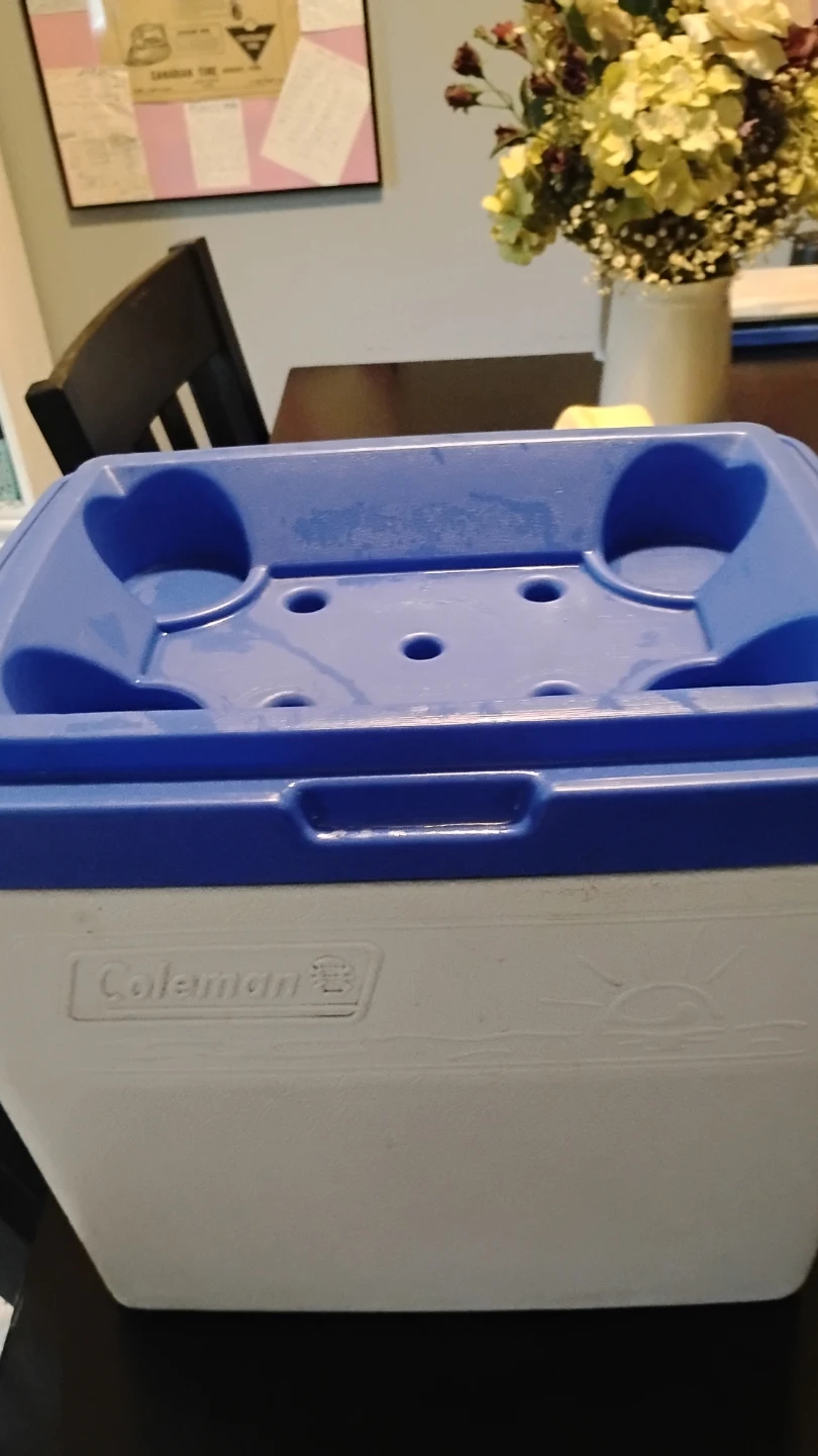 Featherlite Cool Box - photo 5