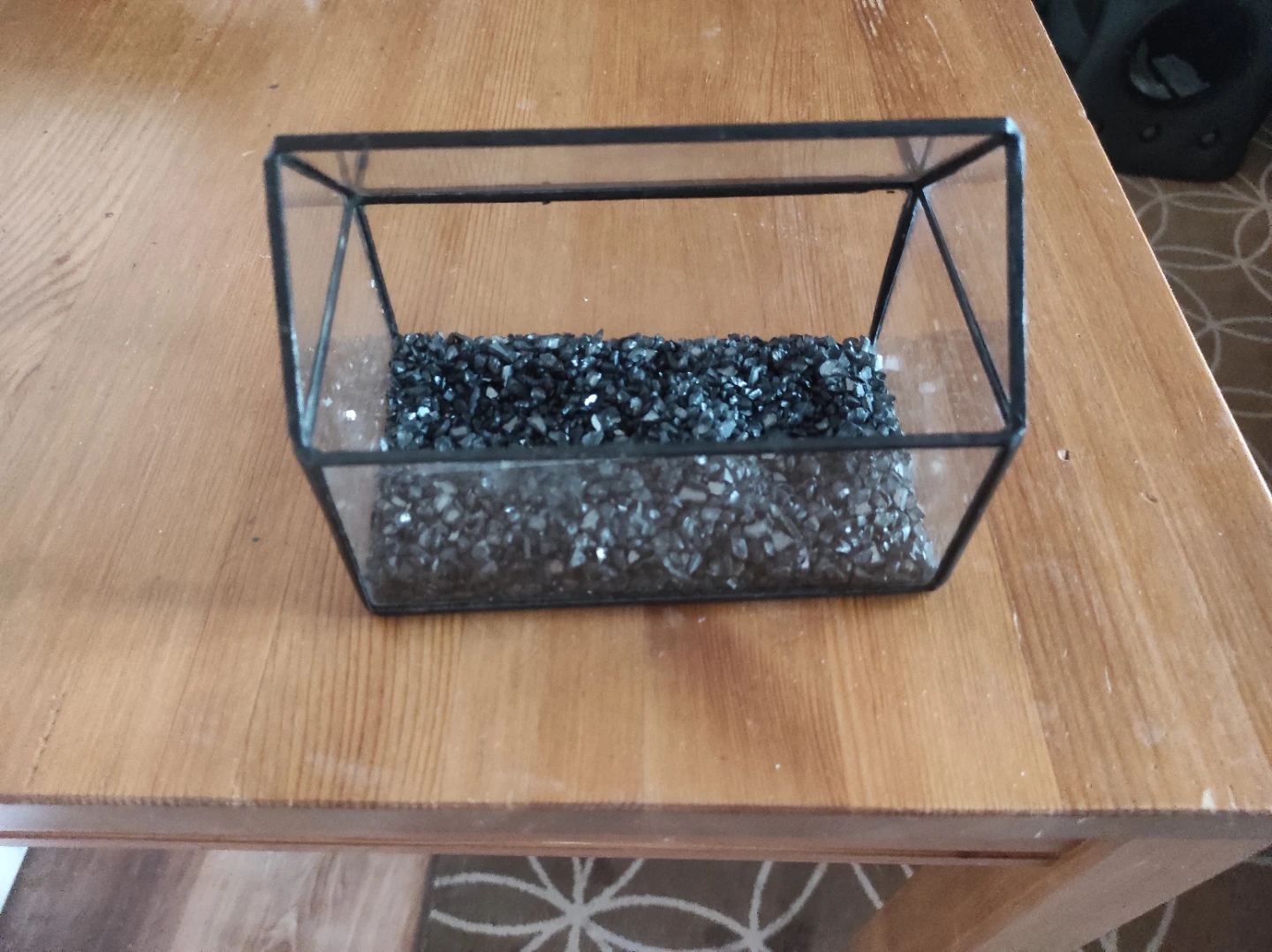 Small glass terrarium