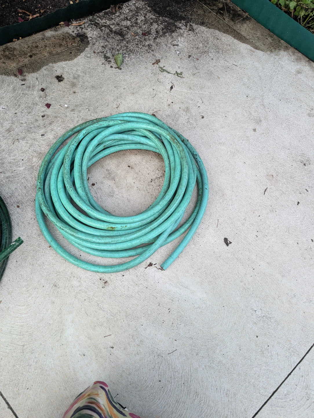 Green Garden Hose