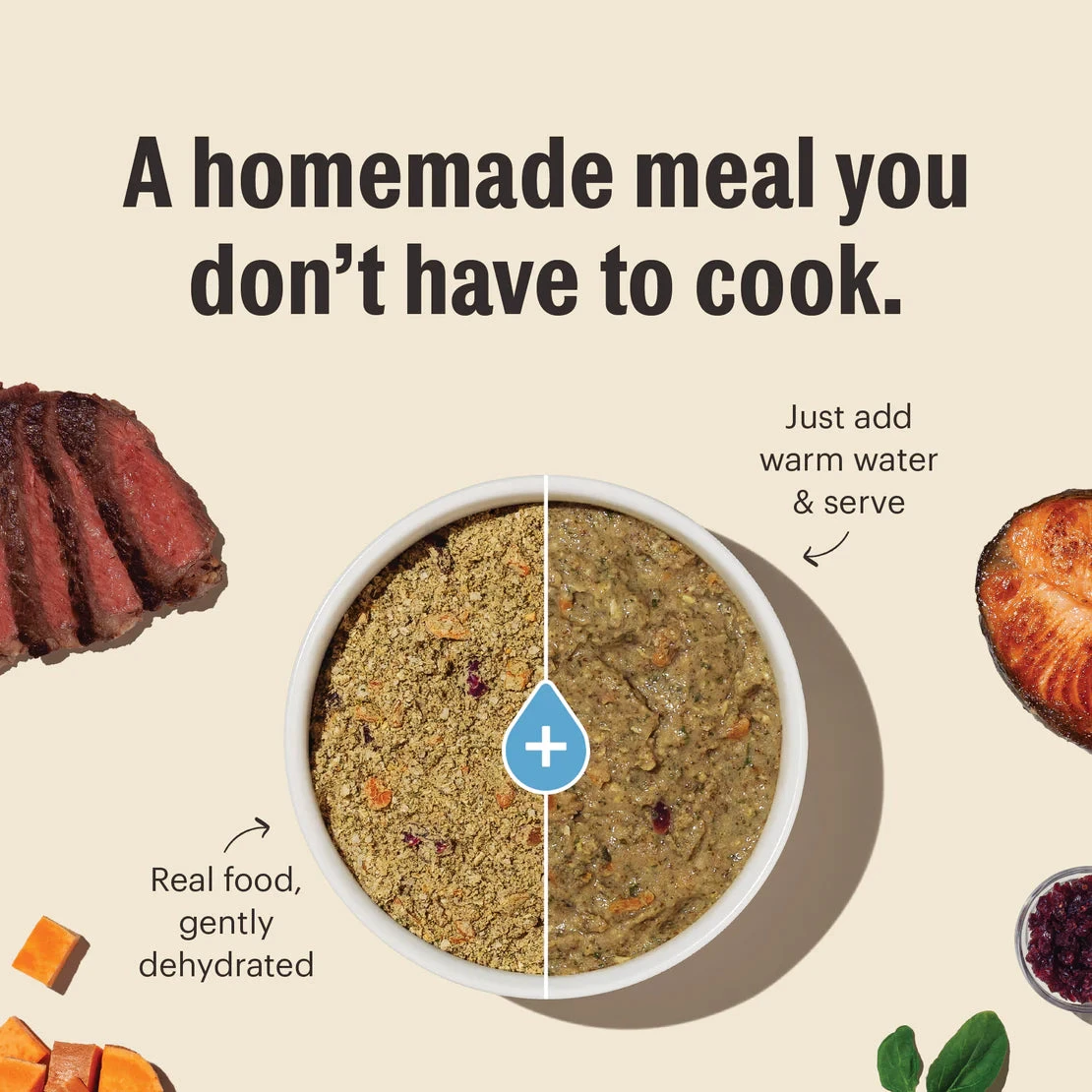 $95 The Honest Kitchen Whole Grain Beef Recipe Dog Food - photo 2