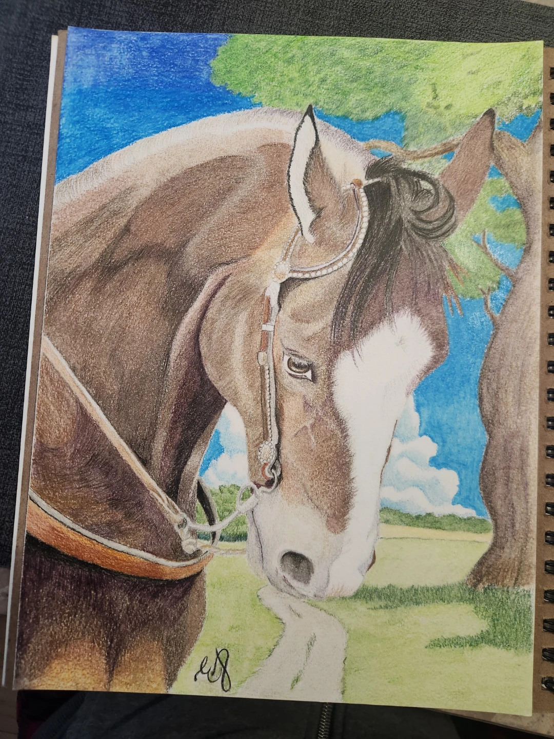 Colored Pencil Drawing of a Horse