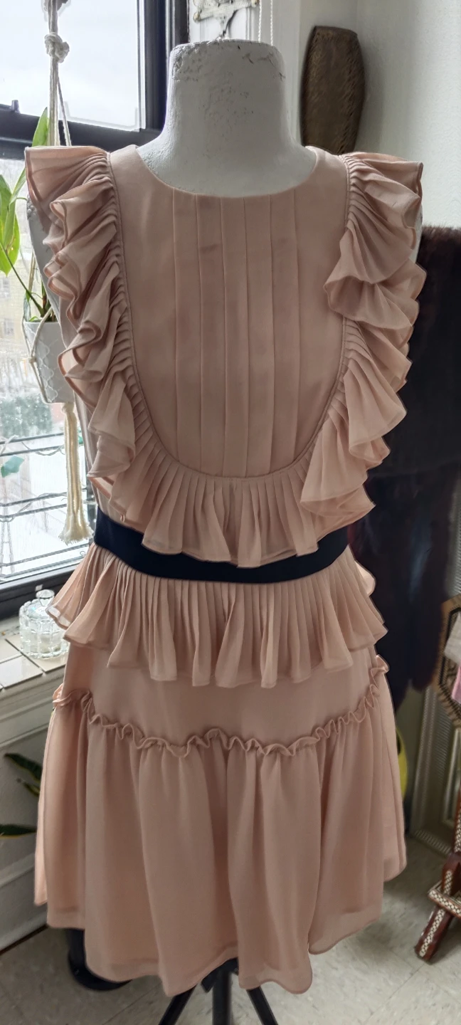 BCBG powder Pink Ruffled Dress with Black Waistband