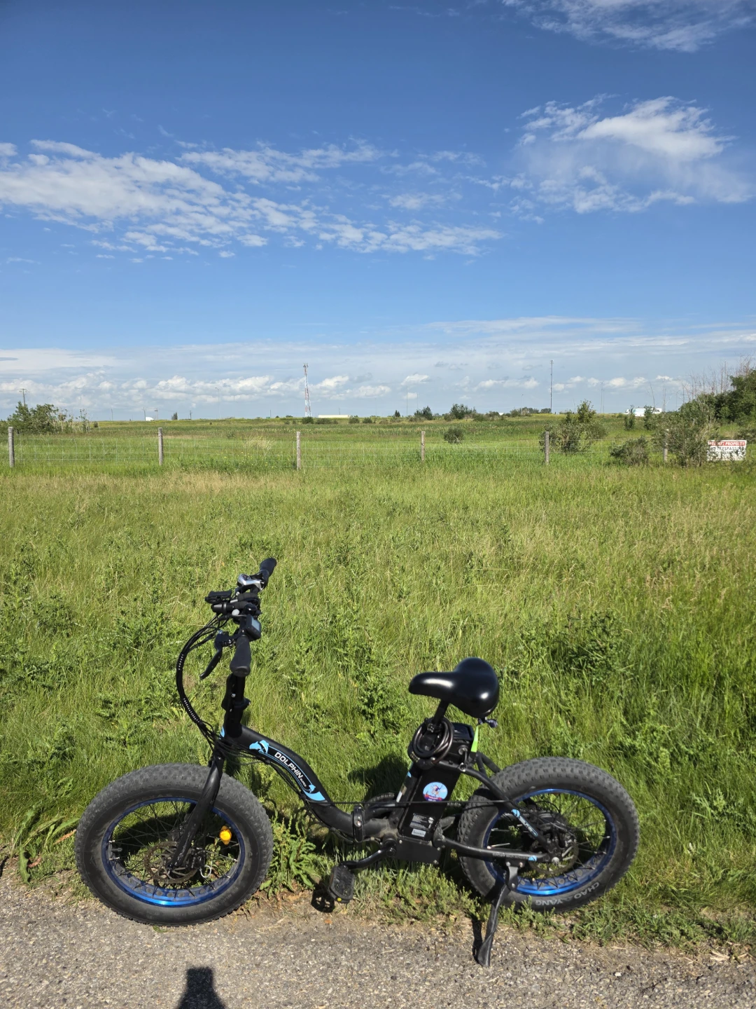 Dolphin Fat Tire Electric Bike - photo 4