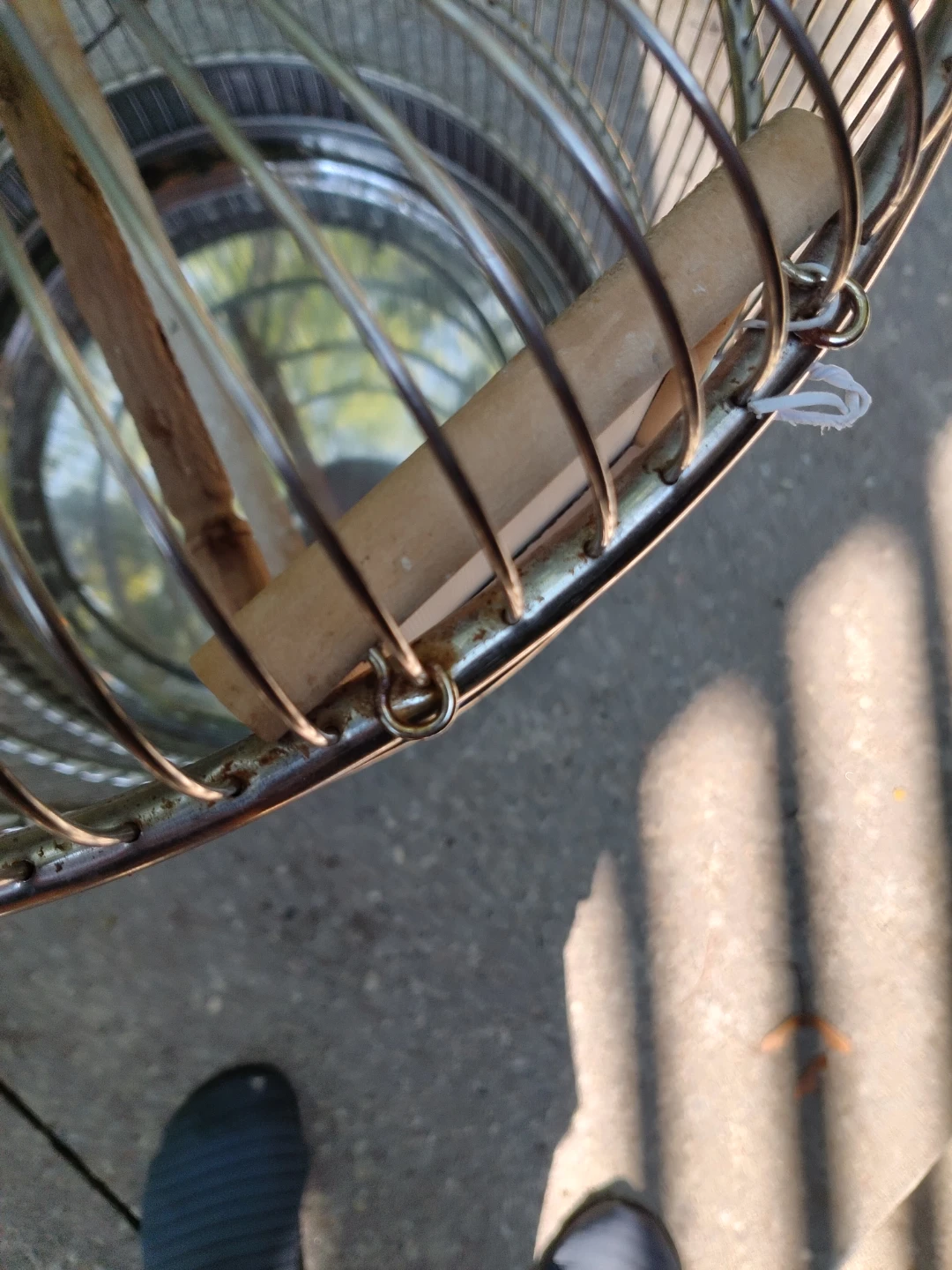 Decorative Bird Cage
