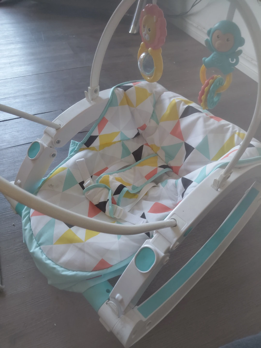 Fisher-Price Baby Rocker - photo 2