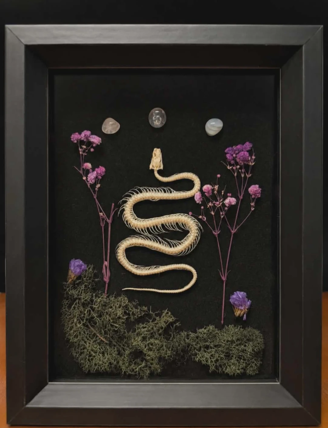Mourning Bloom Handcrafted Snake Skeleton Shadow Box