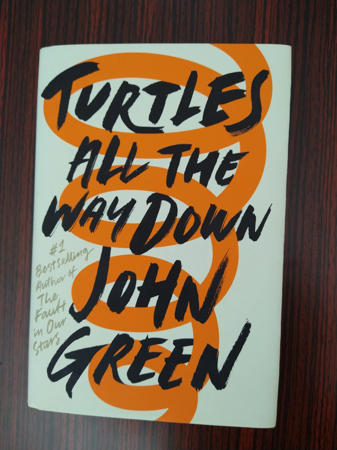 Turtles All the Way Down by John Green