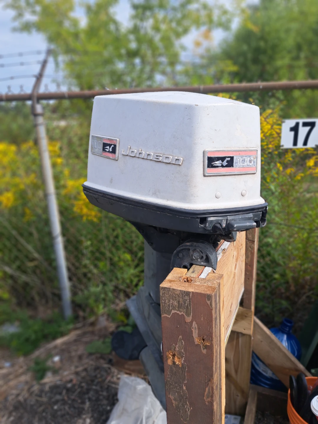 Johnson 100 Outboard Motor