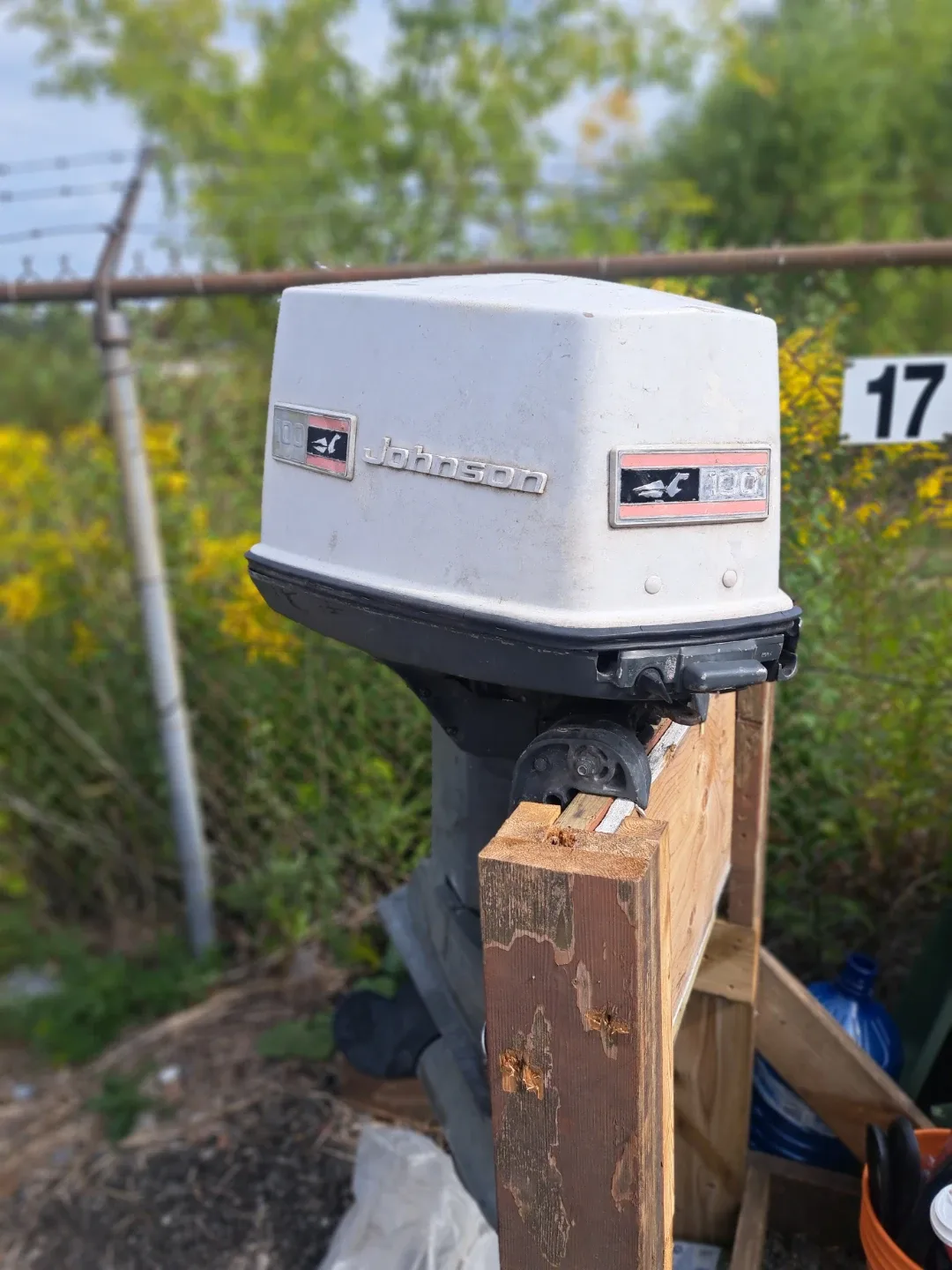 Johnson 100 Outboard Motor