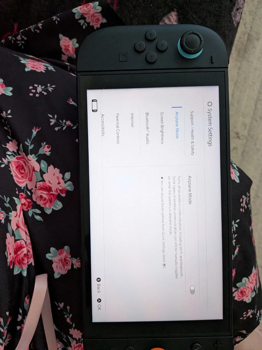 Nintendo Switch 2+ Case