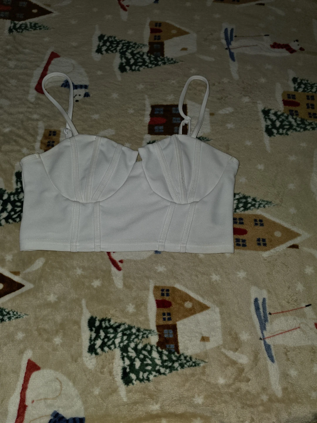 White Bustier Crop Top
