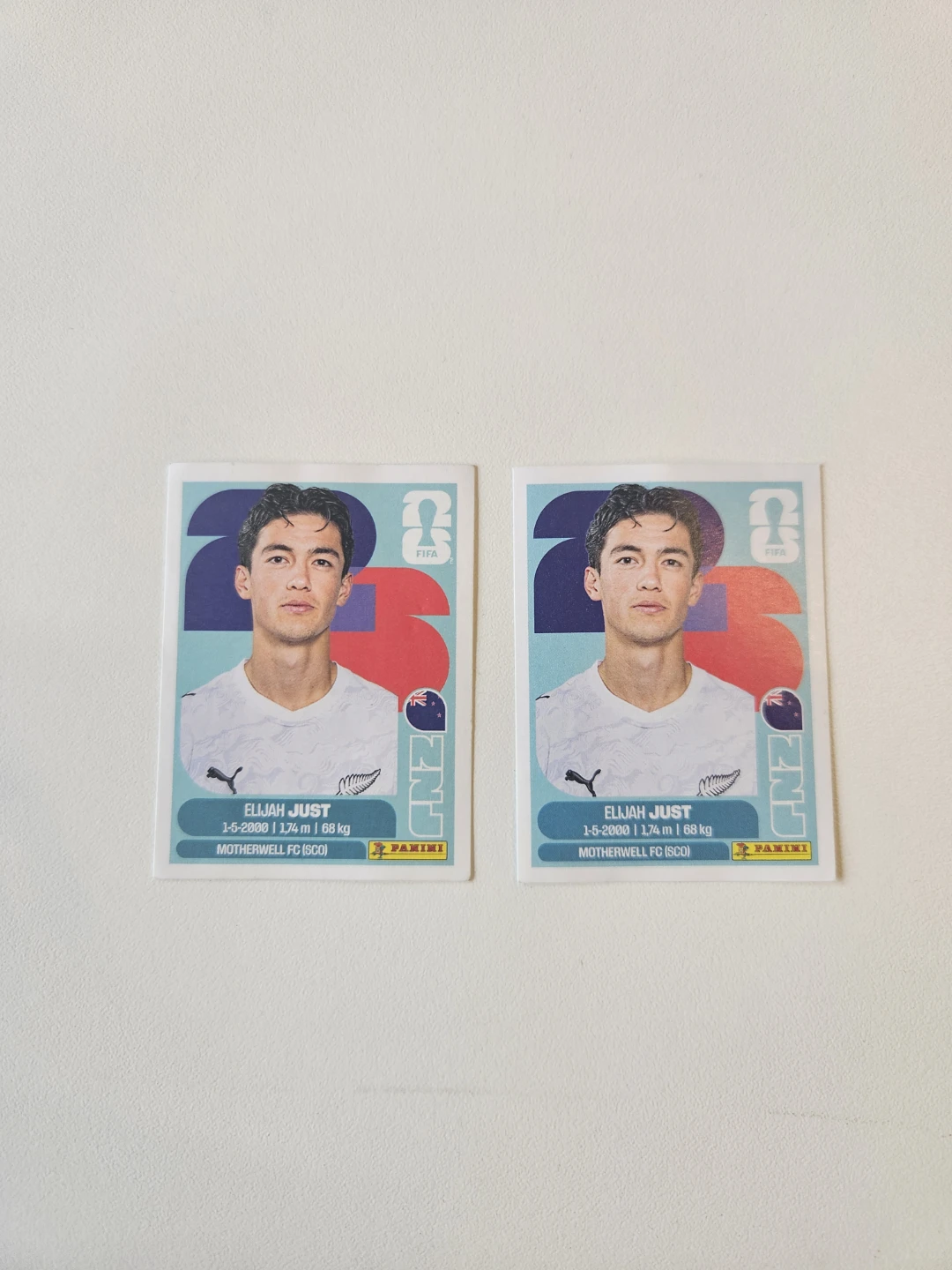 Panini FIFA World Cup Stickers - photo 2