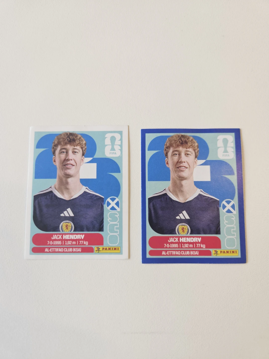 Panini FIFA World Cup Stickers - photo 4