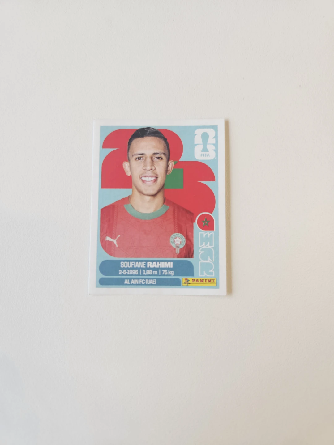 Panini FIFA World Cup Stickers - photo 5