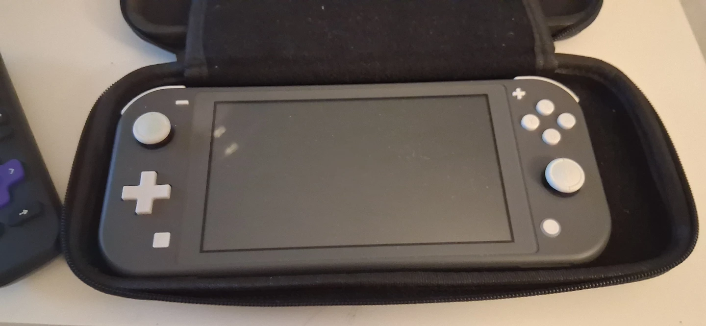 Nintendo switch lite