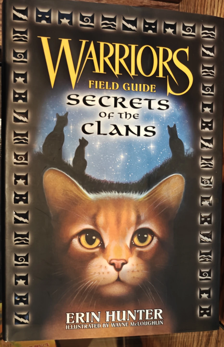 Warriors books by Erin Hunter - photo 5
