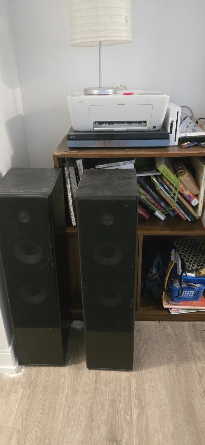 Pair of black tower speakers