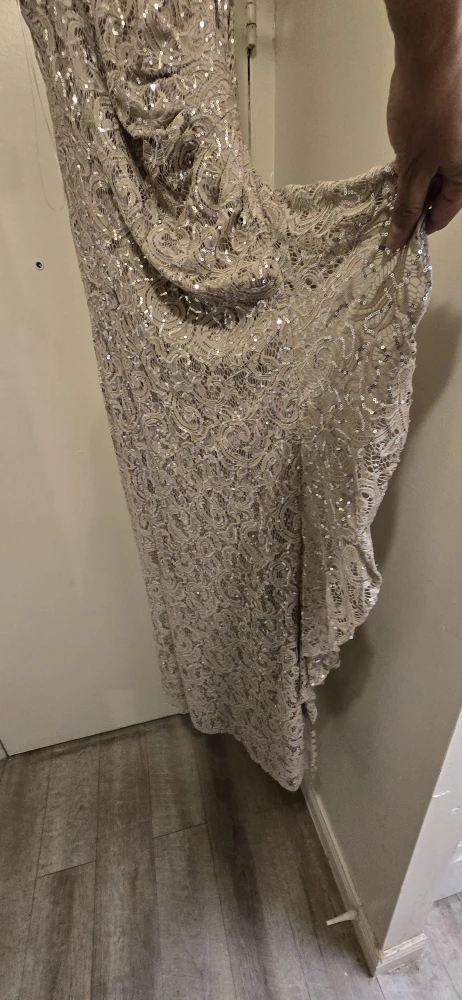Sparkly Sequin Lace Maxi Dress - photo 2