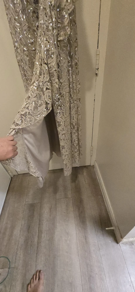Sparkly Sequin Lace Maxi Dress - photo 3