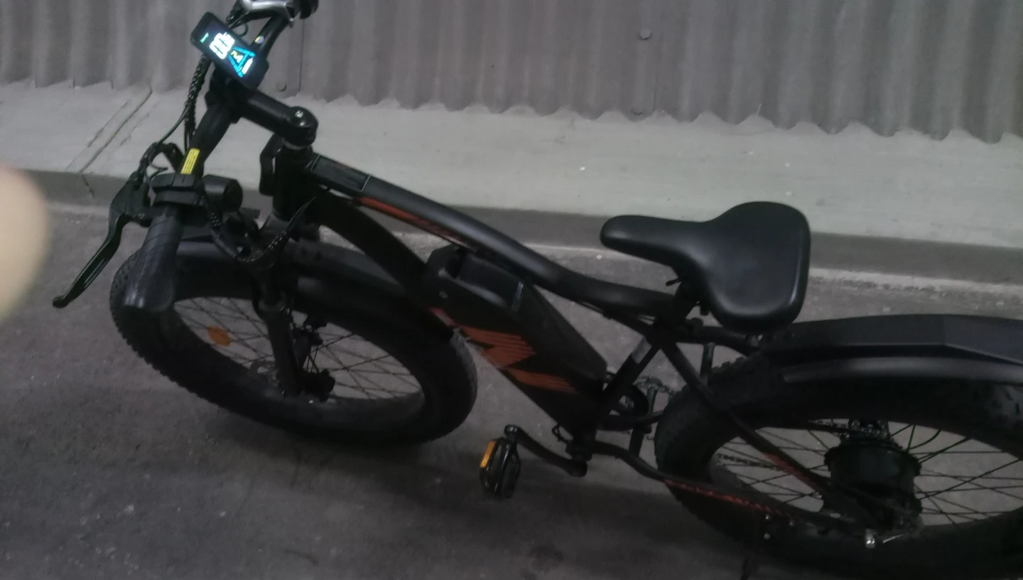 E bike - photo 2
