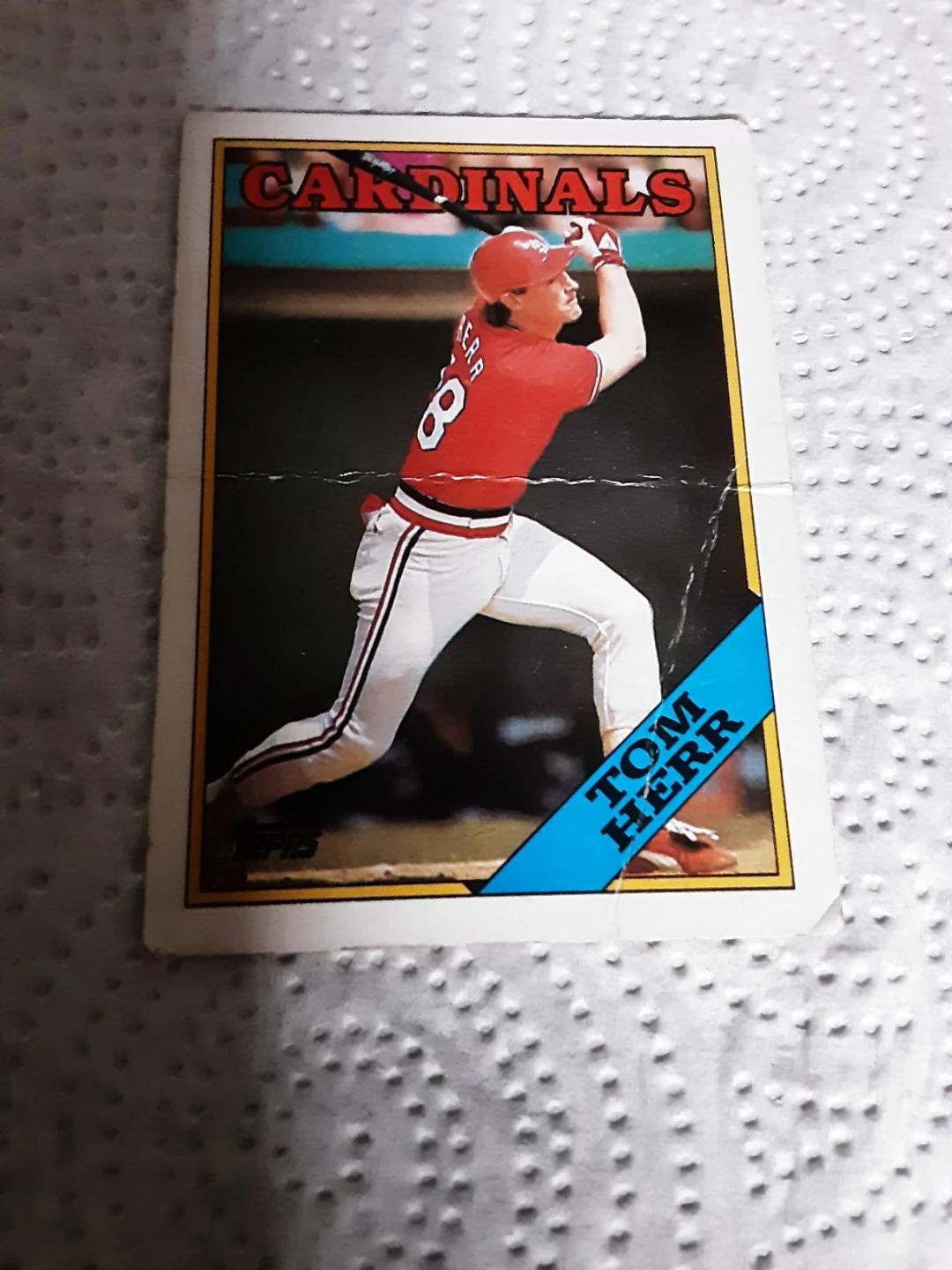 1974 Topps Tom Herr St. Louis Cardinals Baseball Card