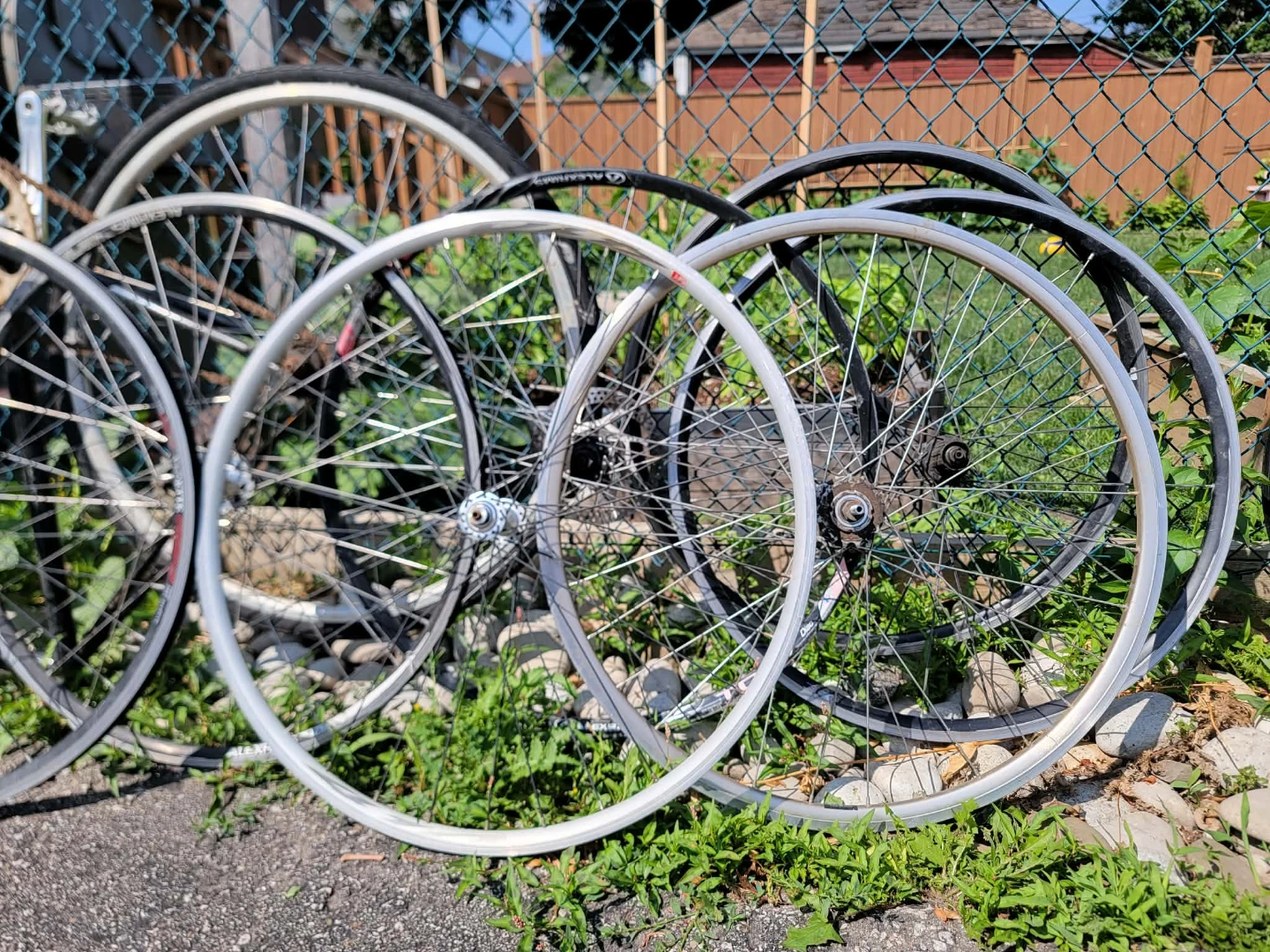 Assorted Bicycle Wheels - photo 2