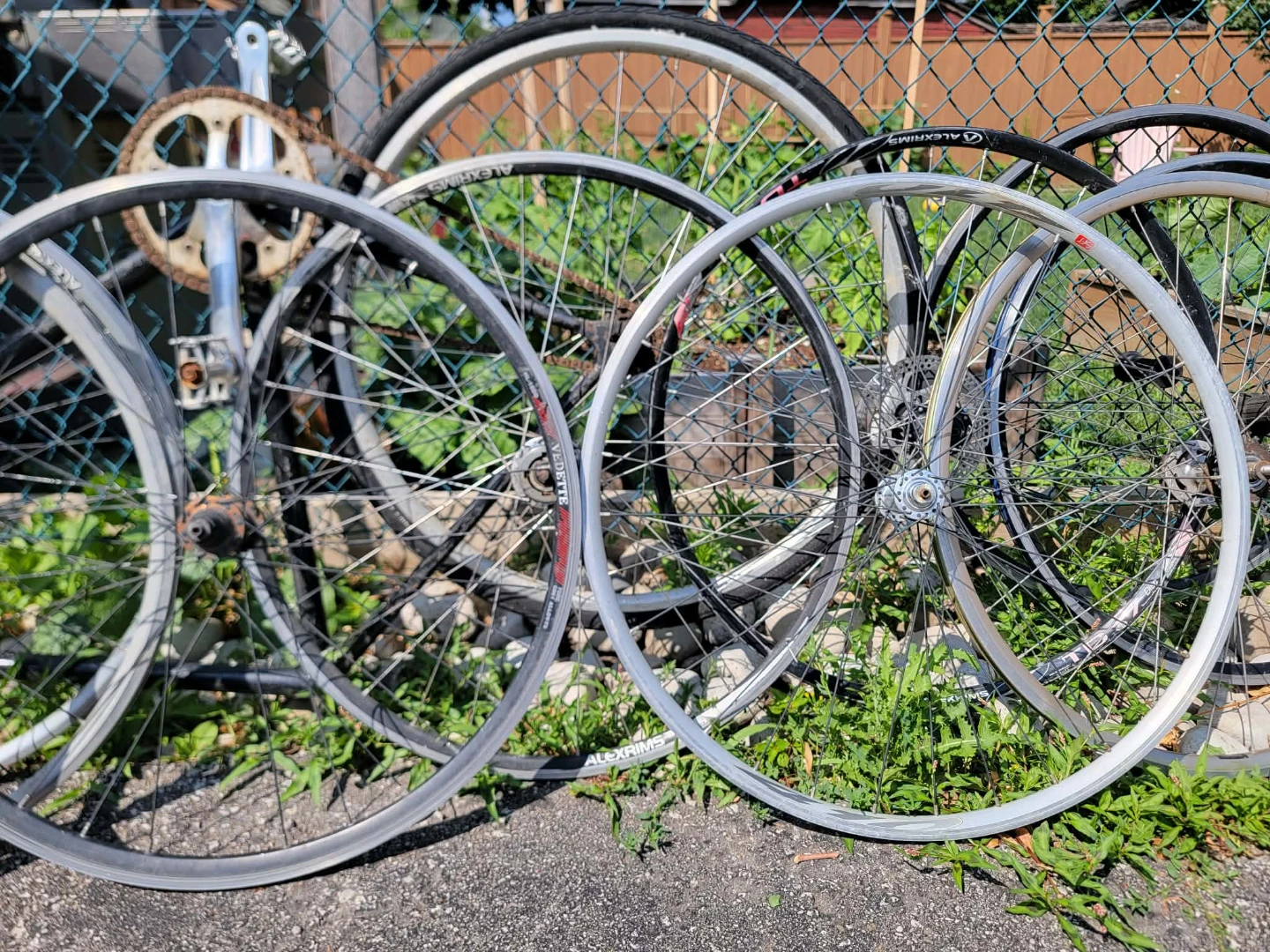 Assorted Bicycle Wheels - photo 3