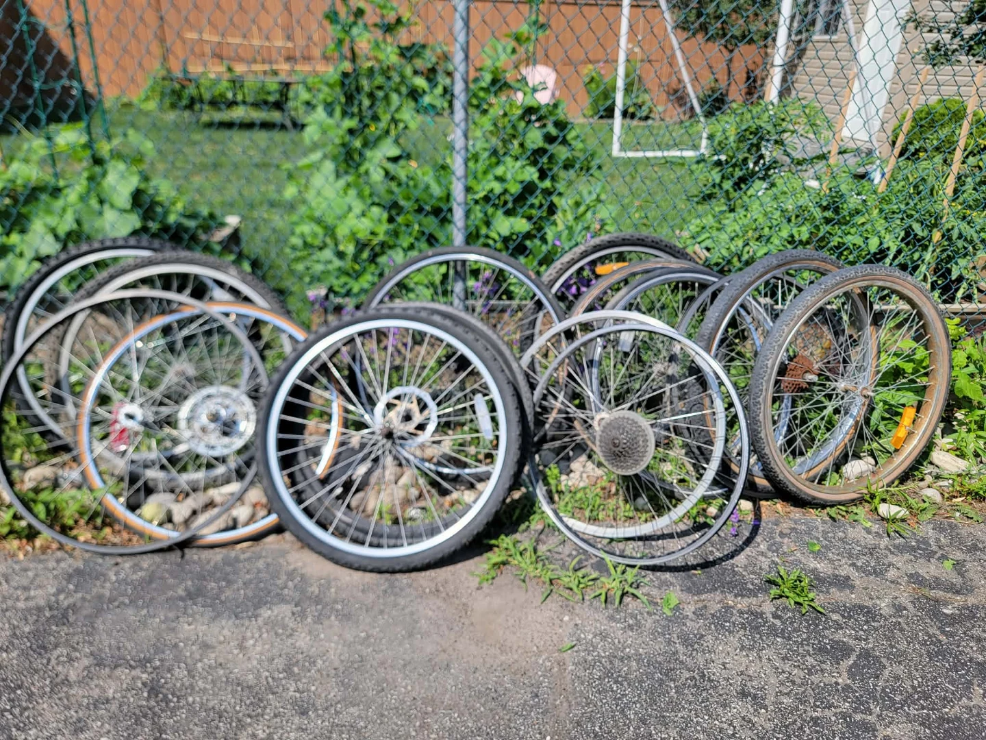 Assorted Bicycle Wheels - photo 4