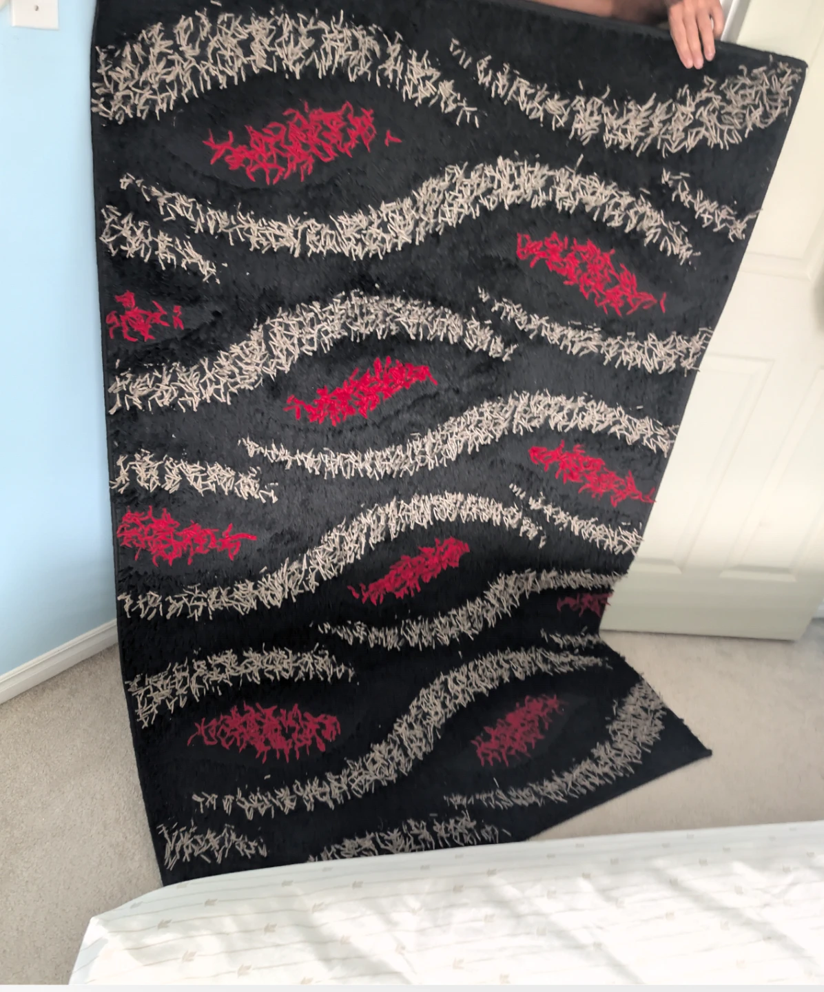 Silky Shag Rug