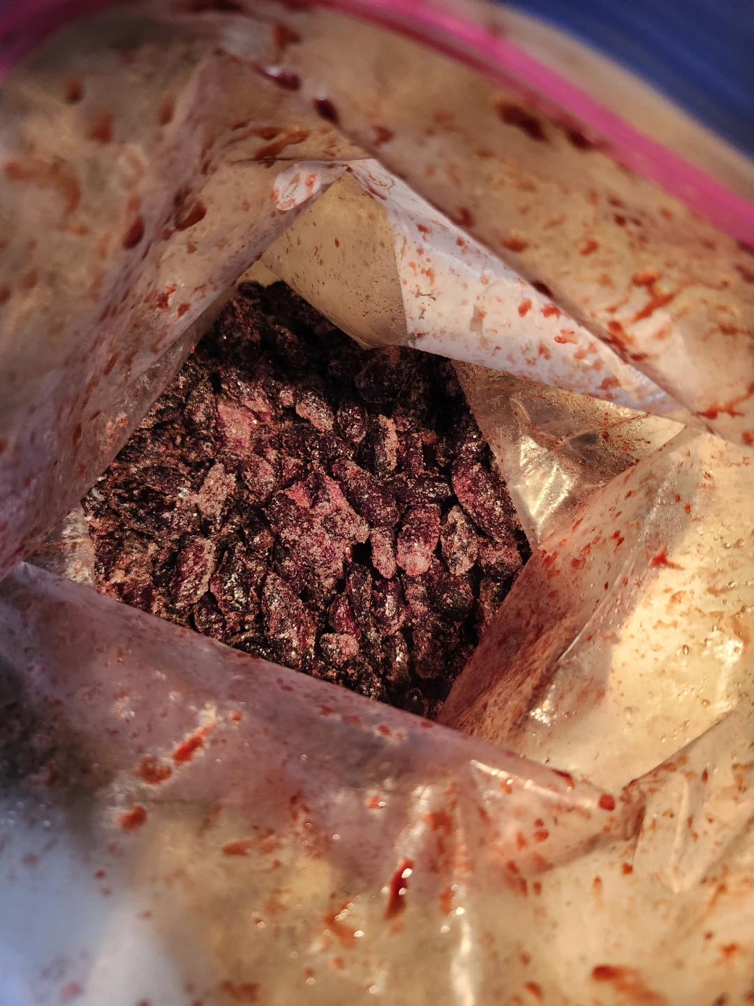 Fresh or Frozen Haskap Berries (summer only) - photo 2